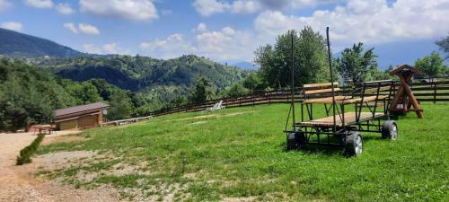 Lodge Transylvanian Views