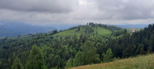 Lodge Transylvanian Views