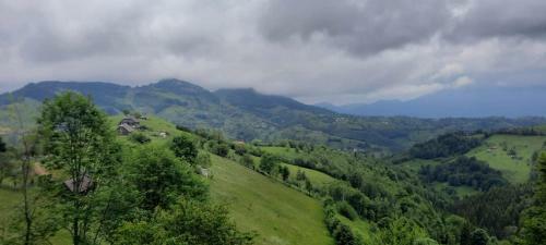 Lodge Transylvanian Views