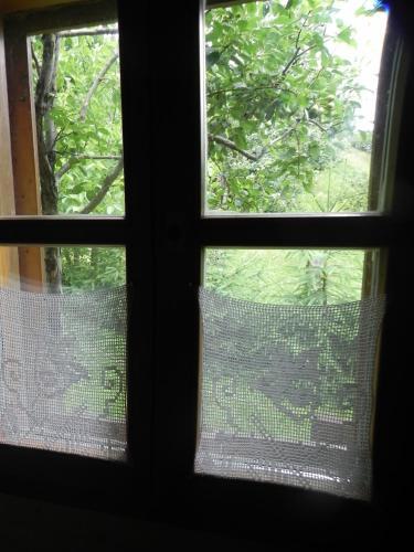 Hostal Iedera Casa De Familii 2