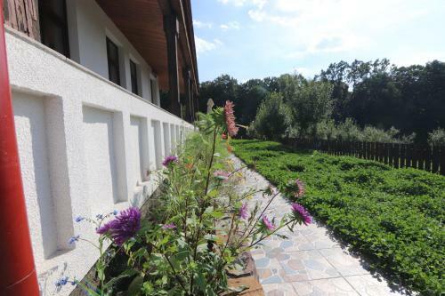 Hostal Pensiunea Emelys