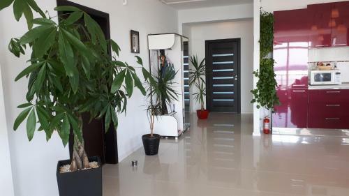 Apartamento Dreamview Mamaia Summer Apt