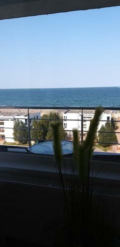 Apartamento Mamaia Summerland Mrs