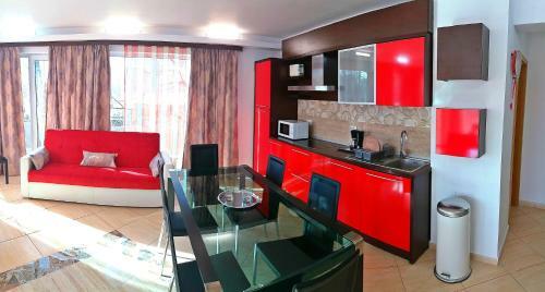 Luisa Lux Apartment - Sat Vacanta