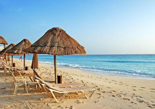 Apartamento Myosotis Mamaia