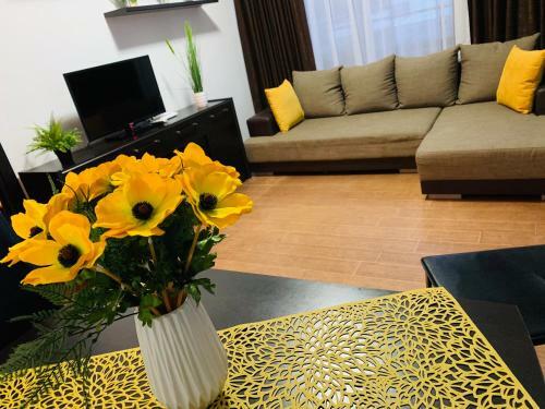 David Summerland Apartaments Mamaia Nord