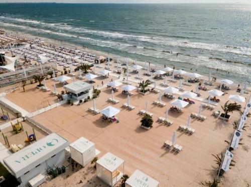 Aruba Apartment Mamaia