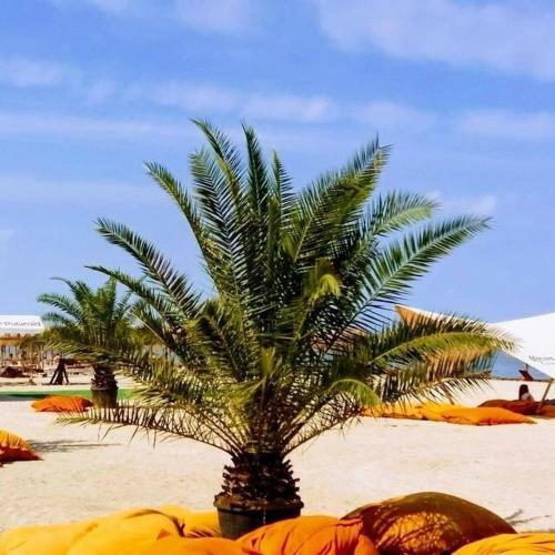 Apartamento Ank Summerland Mamaia