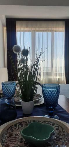 Ionut Summerland Apartments Mamaia