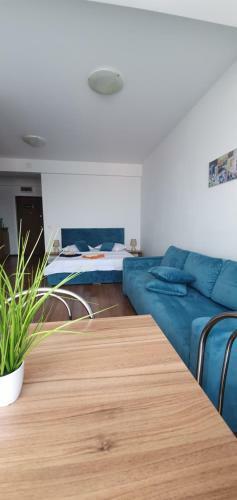 Ionut Summerland Apartments Mamaia