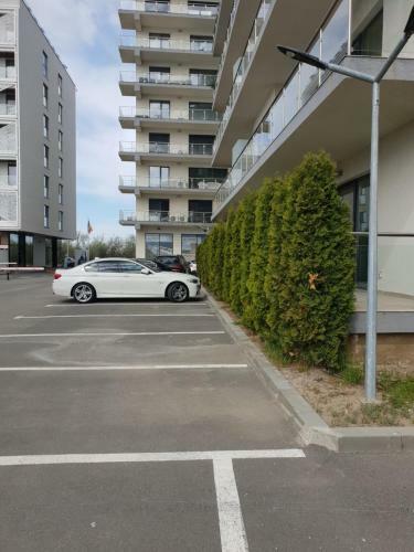 Rubik Apartament