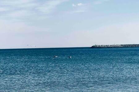 Apartamento Studio For 2 In Mamaia Summerland