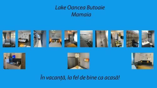 Apartamento Lake Oancea Butoaie