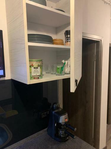 Apartamento Lake Oancea Butoaie