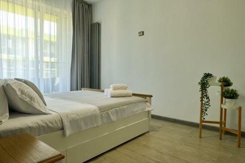 Sea Shore Apartments Alezzi Spa N Pools Beach Resort