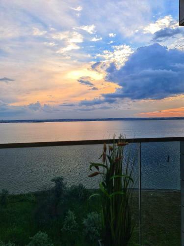 Apartamento Royal Blue Mamaia