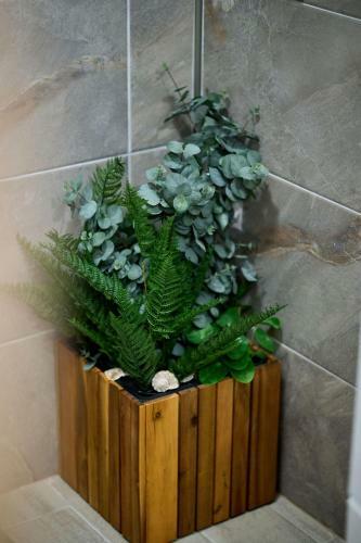 Bamboo Sea View Apartment Alezzi Spa Pools Parking