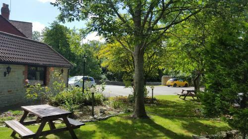 Hostal The Walnut Tree