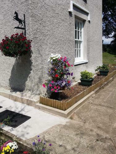 Hostal Roosecote Guest House