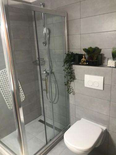 Apartamento Studio Zza Home