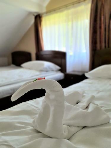 Hostal Casa Muscelelor