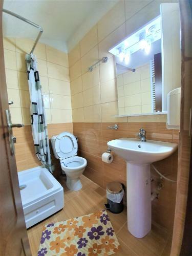 Hostal Casa Muscelelor