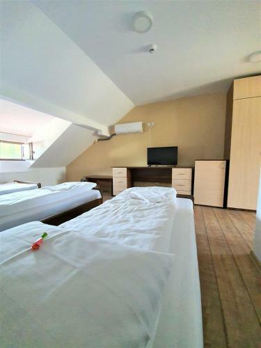 Hostal Casa Muscelelor