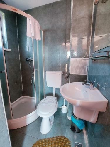 Hostal Floare De Colt Petrosani