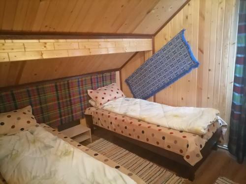 Lodge Domeniul Teodorescu