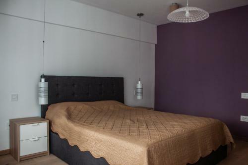 Eurocomfort Apartments