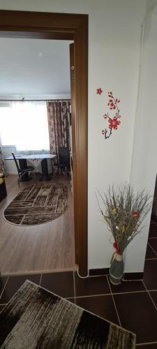 Apartamento Casa Suzana