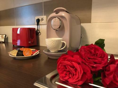Eli?s Apartament