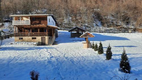 Cabana Bu?teni Apuseni Eco Din Podele
