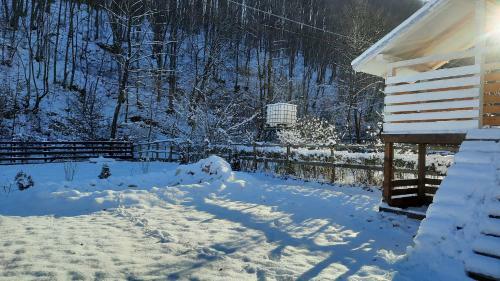 Cabana Bu?teni Apuseni Eco Din Podele