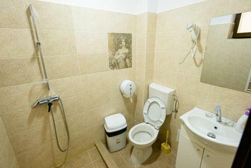Hostal Casa Domneasca Riana