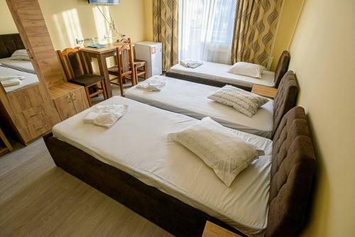 Hostal Casa Domneasca Riana