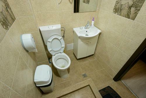 Hostal Casa Domneasca Riana