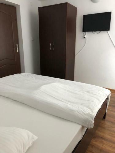 Cabana Merisor