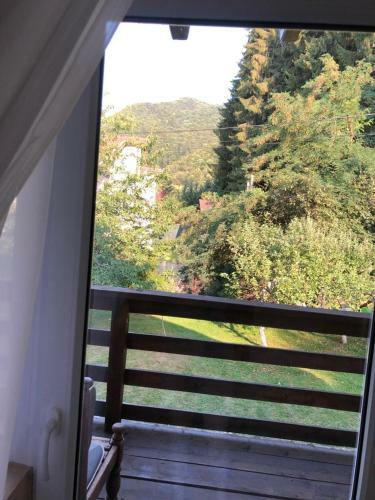 Cabana Merisor