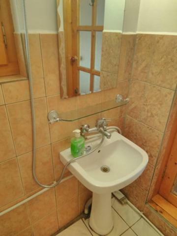 Apartamento Casa Paltin Cabane