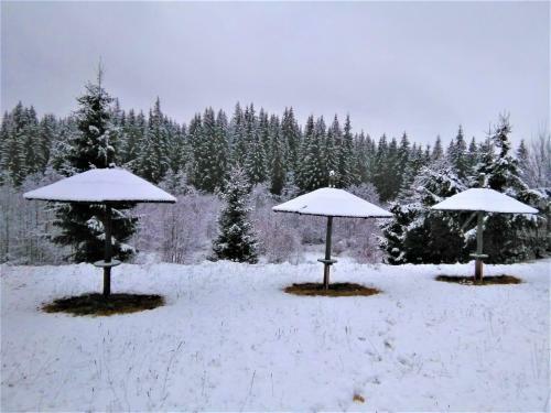 Apartamento Casa Paltin Cabane