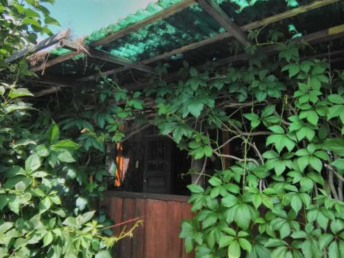 Apartamento Casa Paltin Cabane