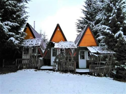 Apartamento Casa Paltin Cabane