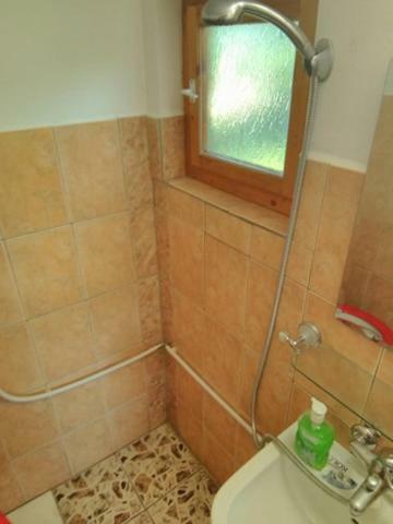 Apartamento Casa Paltin Cabane