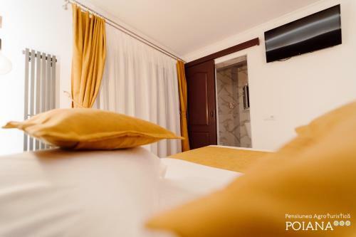 Hostal Pensiunea Agroturistica Poiana