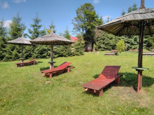 Lodge Casa Paltin