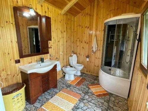 Hostal Casa Prundari Nicu ?i Mirela