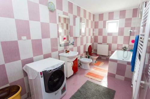 Hostal Casa Prundari Nicu ?i Mirela