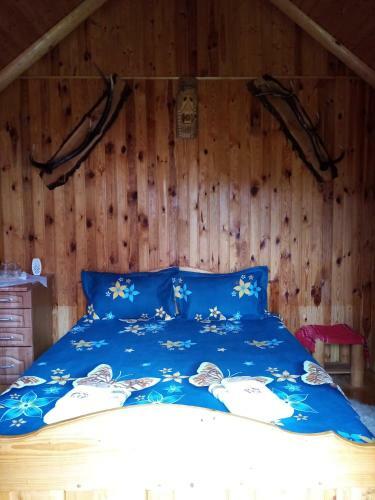 Hostal Casa Prundari Nicu ?i Mirela