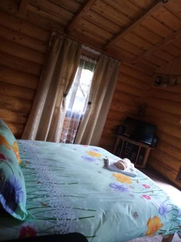 Hostal Casa Prundari Nicu ?i Mirela
